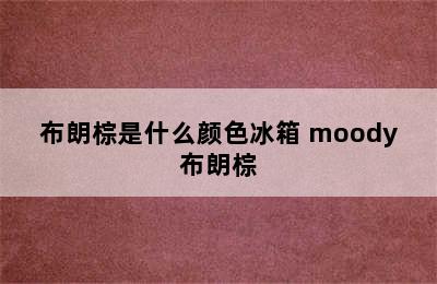 布朗棕是什么颜色冰箱 moody布朗棕